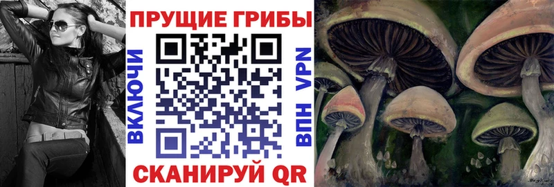 Купить  Югорск  Псилоцибиновые грибы мицелий 
